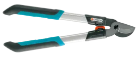 Bypass Pruning Loppers